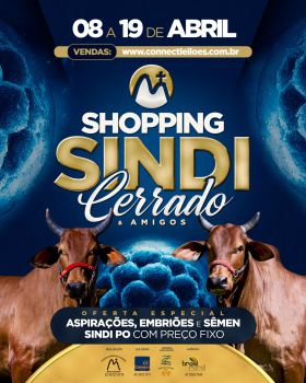 3º Shopping Sindi Cerrado - Etapa Virtual