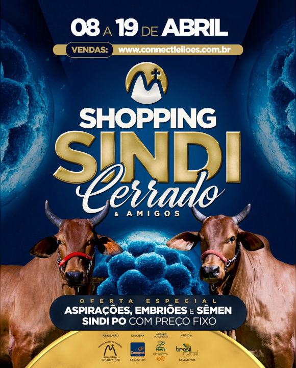 3º Shopping Sindi Cerrado & Amigos
