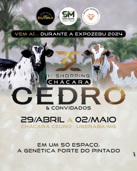 1º Shopping Chácara Cedro & Convidados