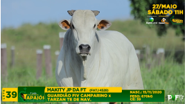 Lote 39