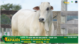 Lote 73