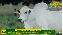 Lote 52