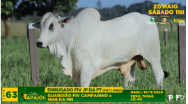 Lote 63