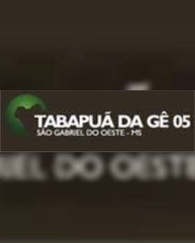 Leilão Touros Tabapuã da Gê