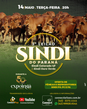 3º Leilão Sindi do Paraná