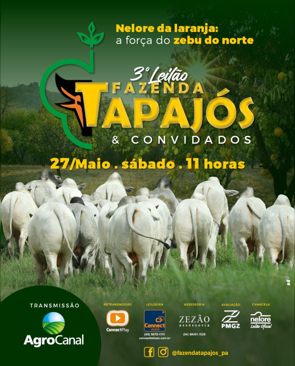 3º Leilão Fazenda Tapajós & Convidados