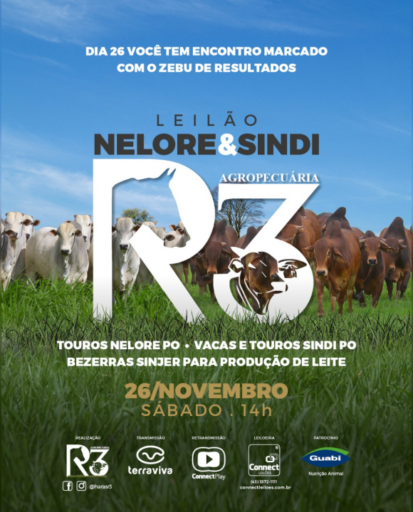 Leilão Nelore & Sindi Agropecuária R3