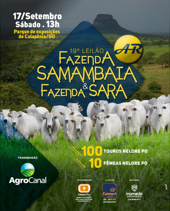 19º Leilão Fazenda Samambaia & Sara