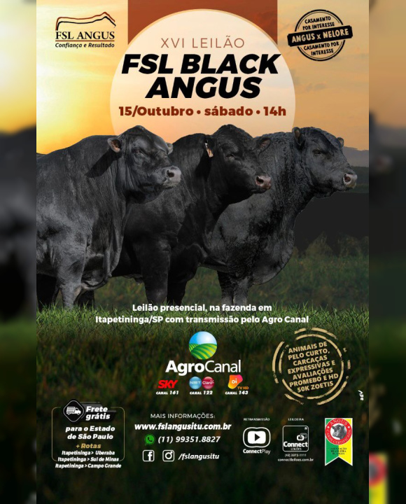 XVI Leilão FSL Black Angus