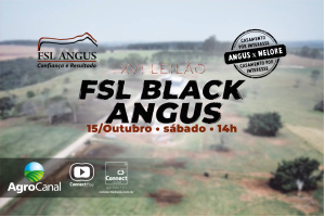 Matéria - XVI Leilão FSL Black Angus