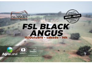 Matéria - XVI Leilão FSL Black Angus